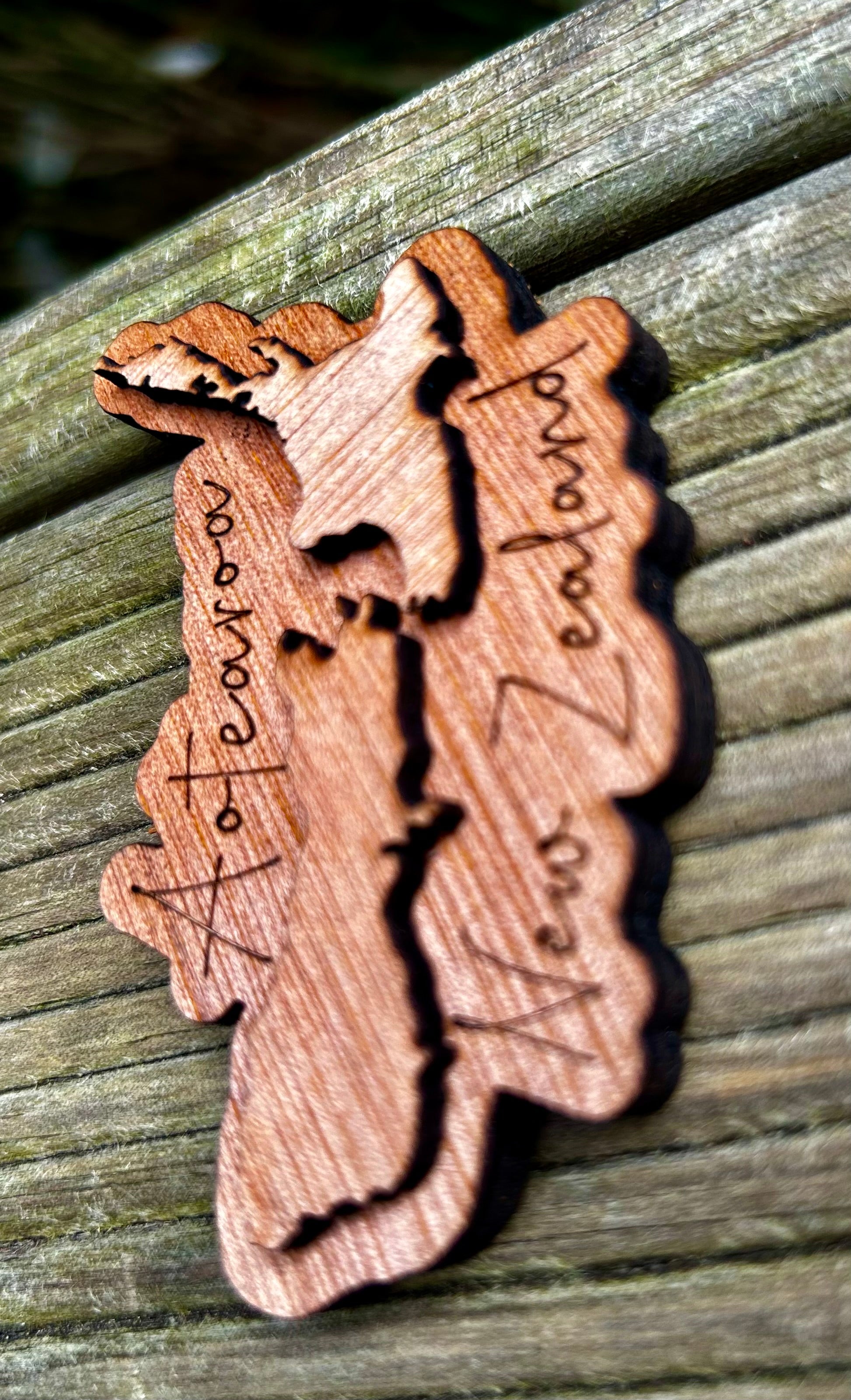 Aotearoa NZ Fridge Magnet | Laser-Cut Plywood | Set of 2